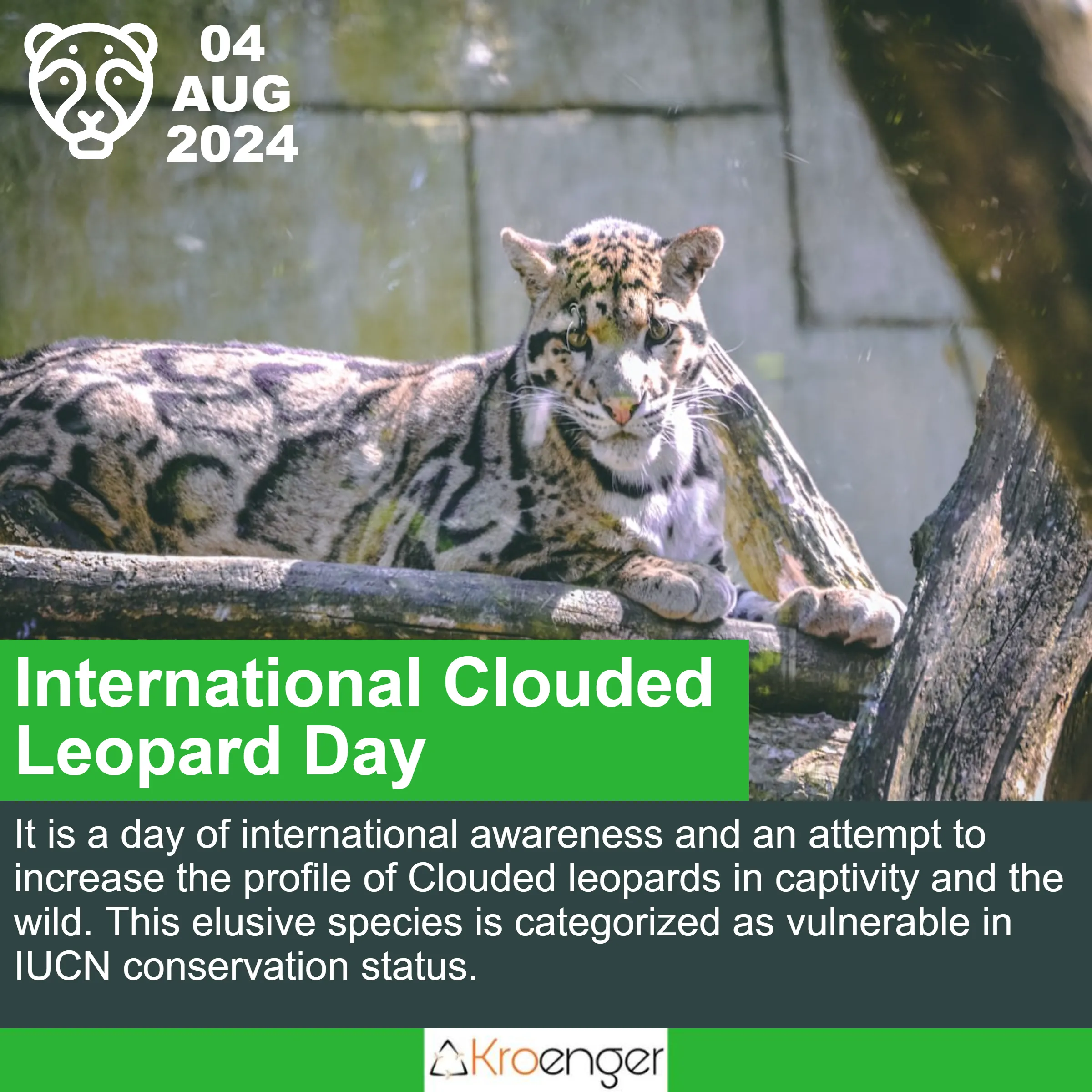 International Clouded Leopard Day