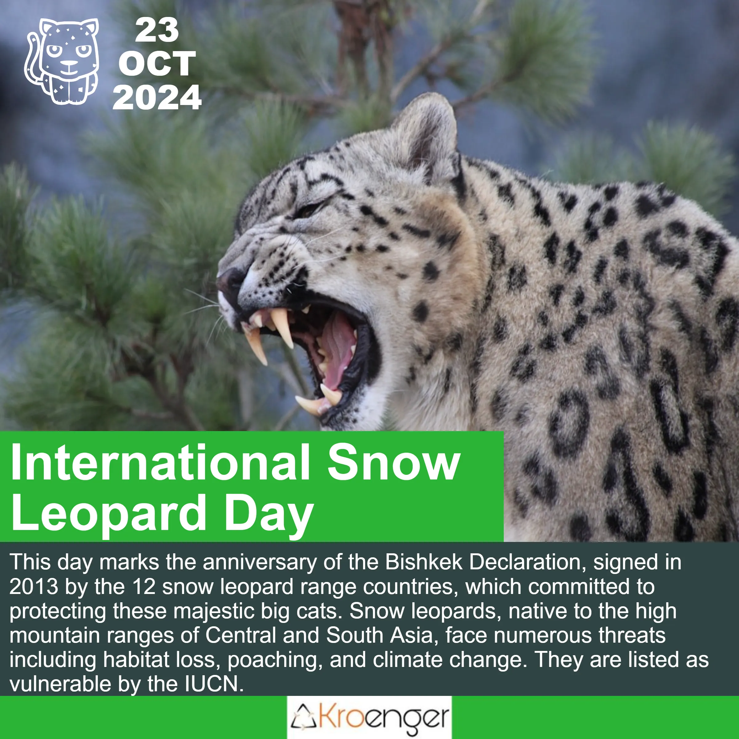 International Snow Leopard Day