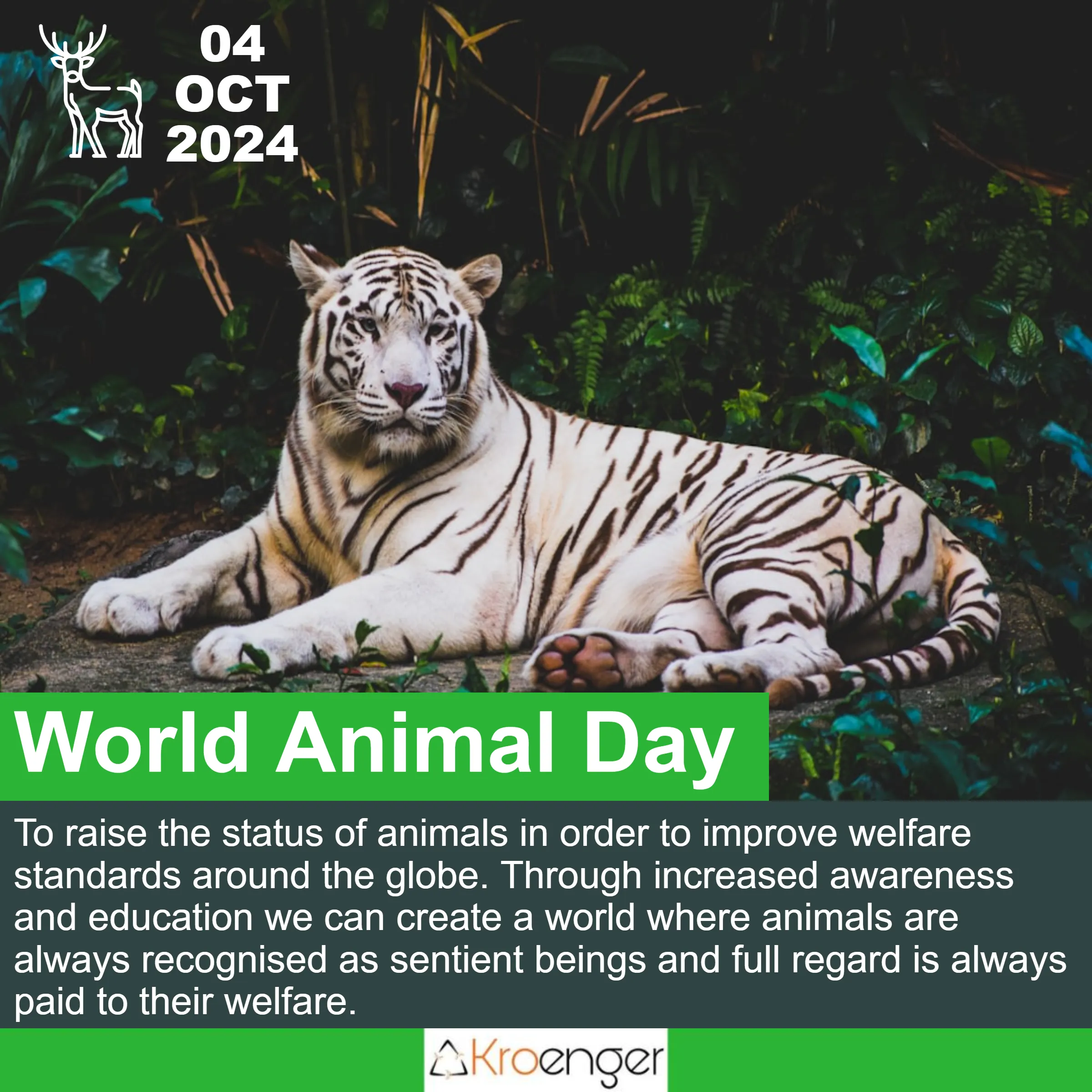 World Animal Day