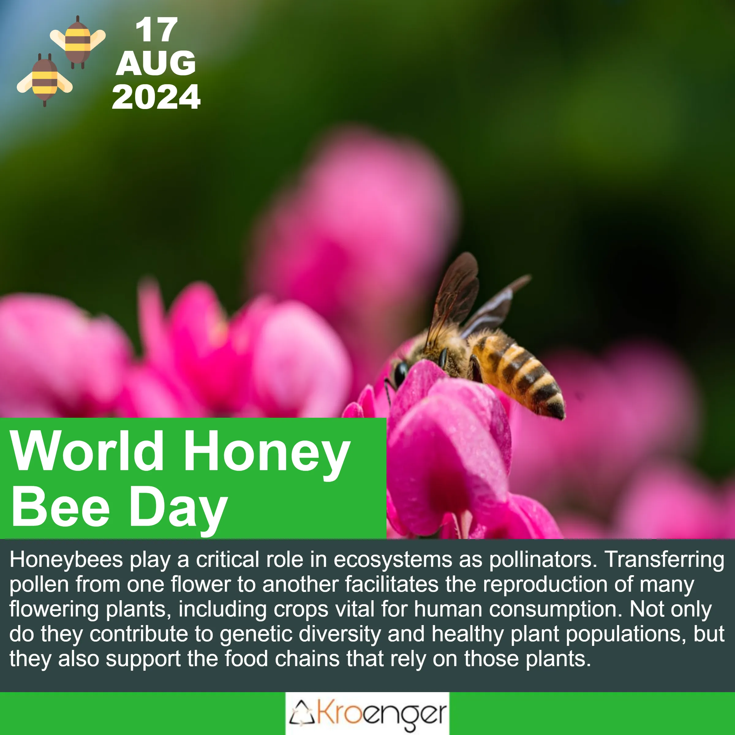 World Honey Bee Day