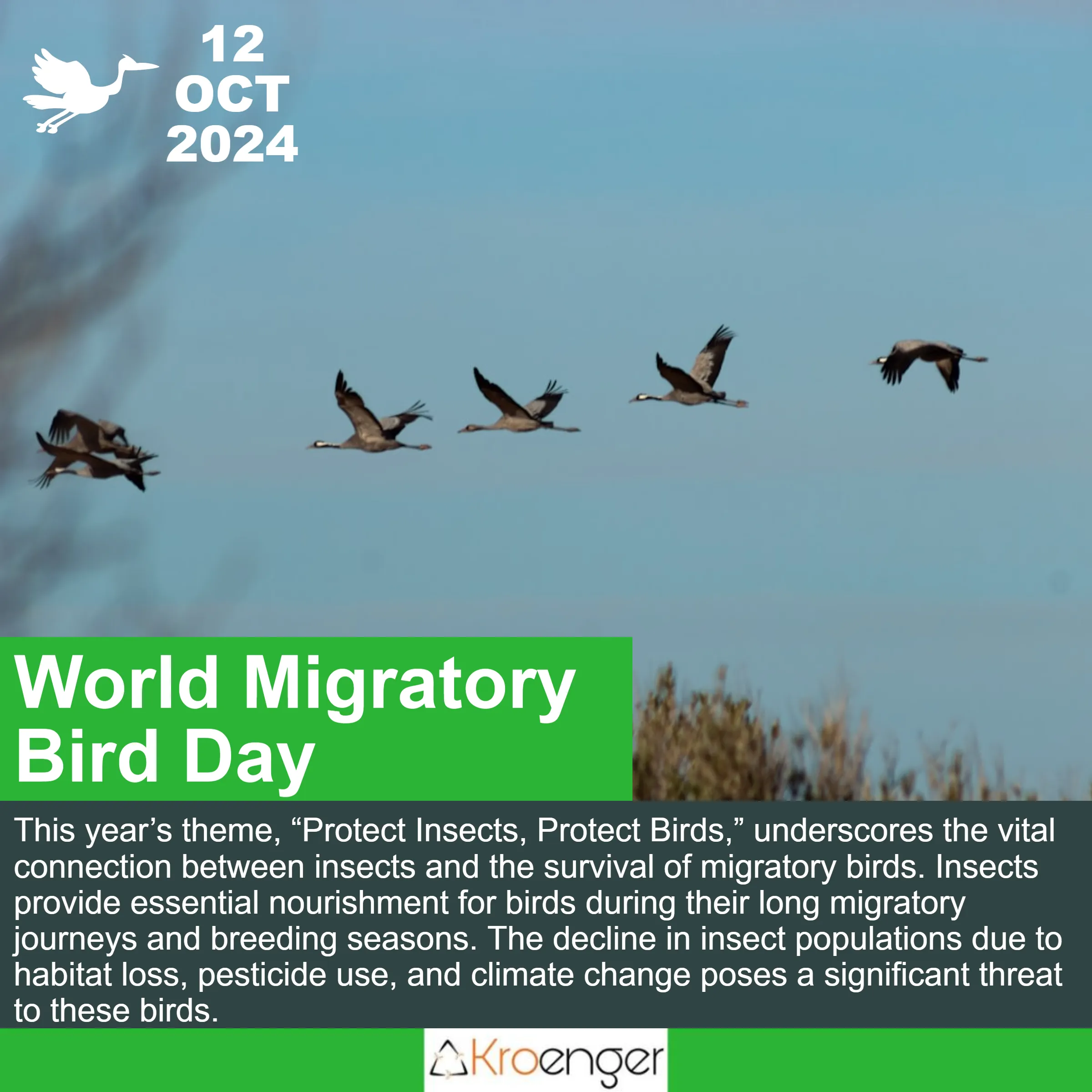 World Migratory Bird Day