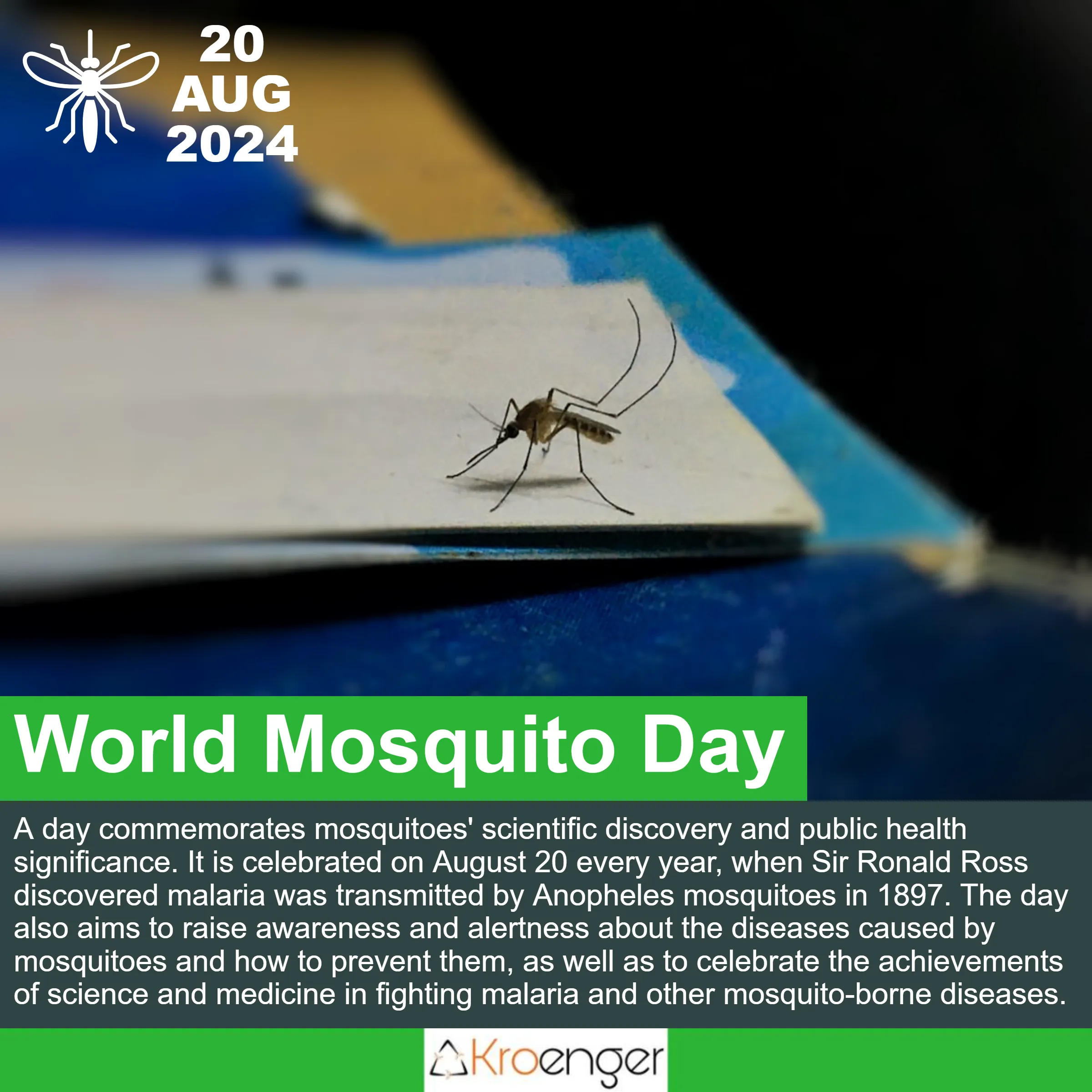 World Mosquito Day