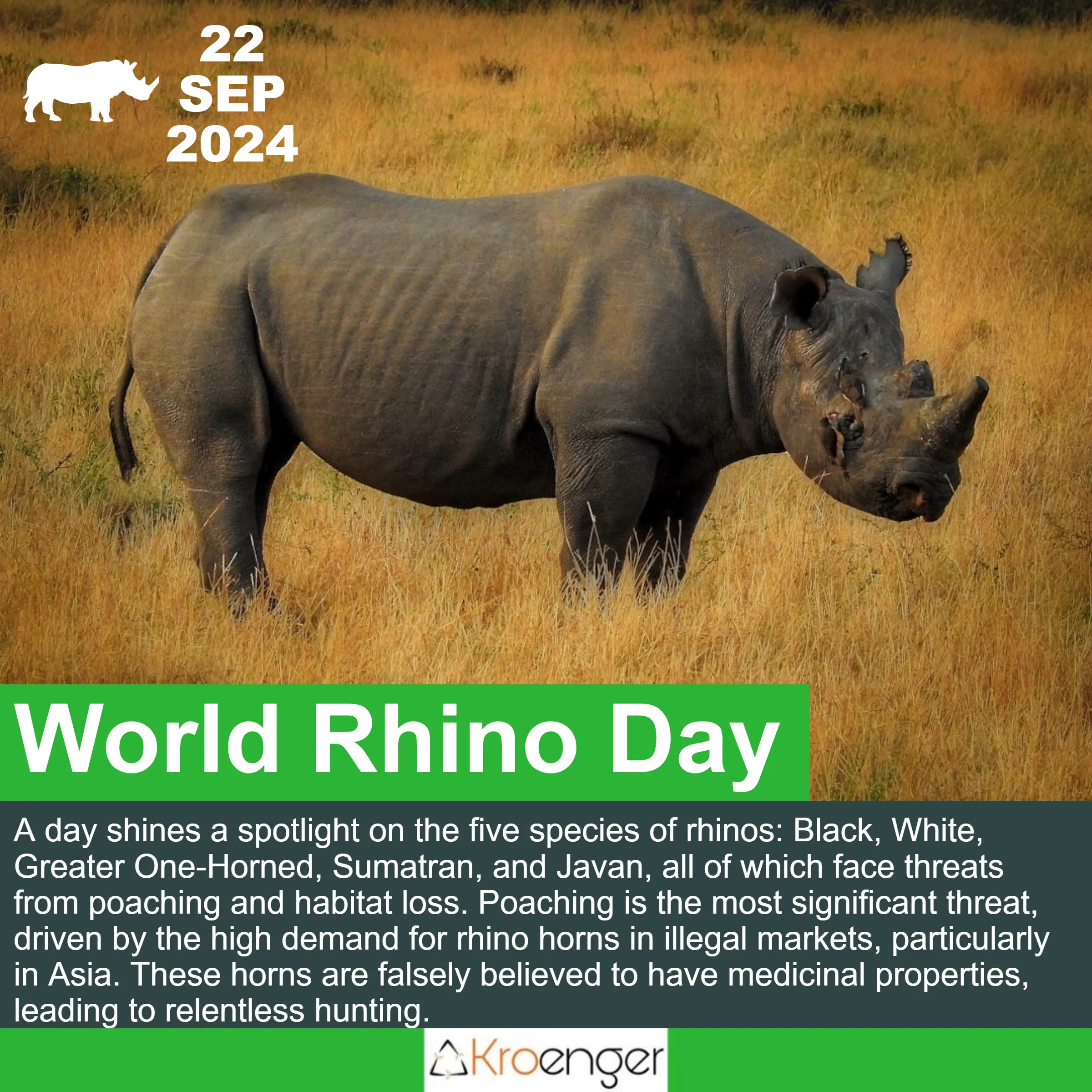  World Rhino Day