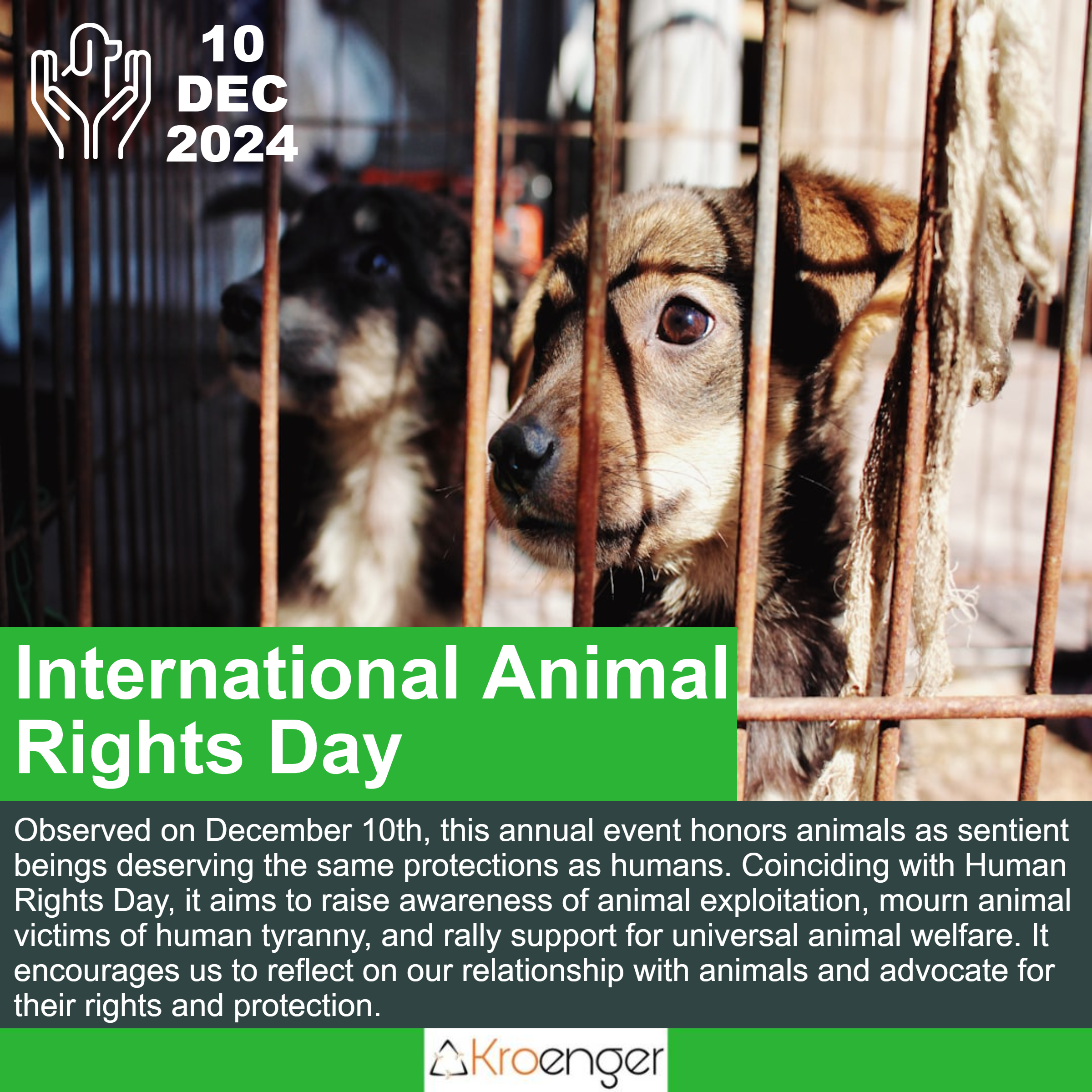 International Animal Rights Day