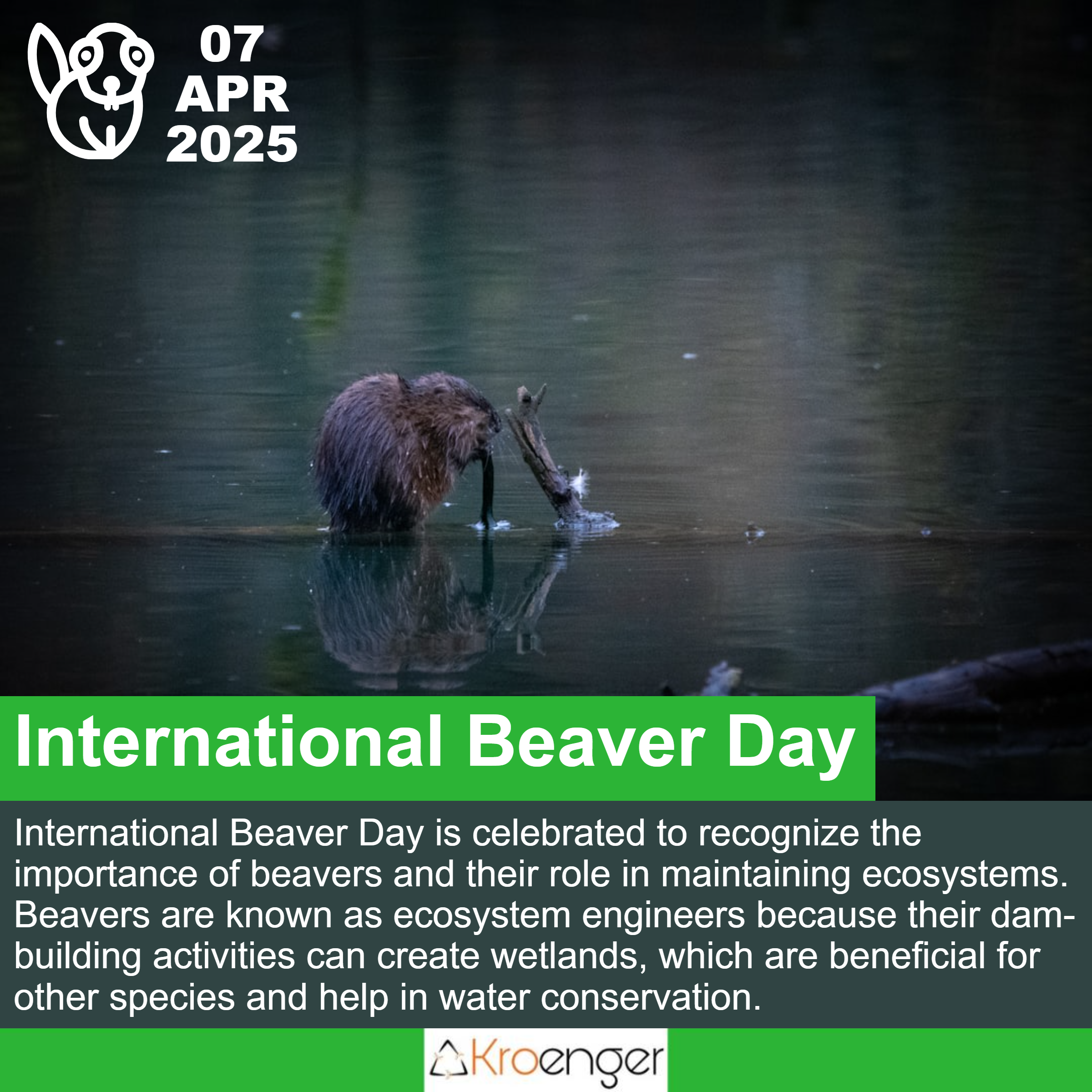 International Beaver Day