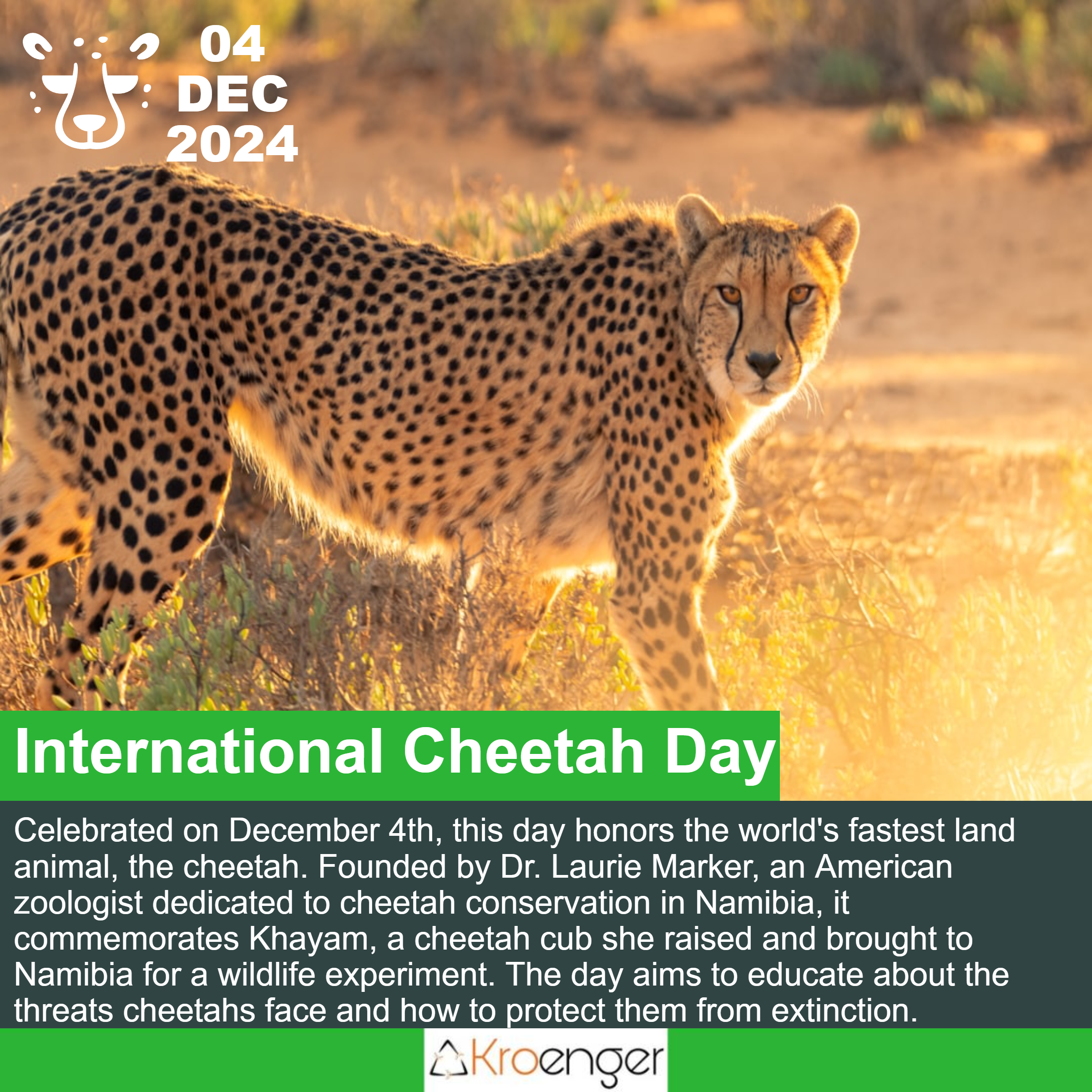 International Cheetah Day