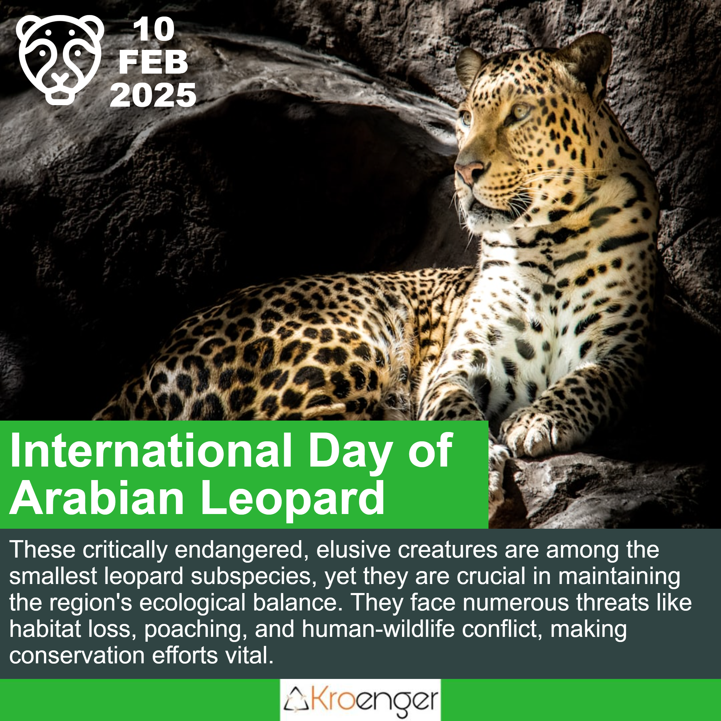 International Day of Arabian Leopard