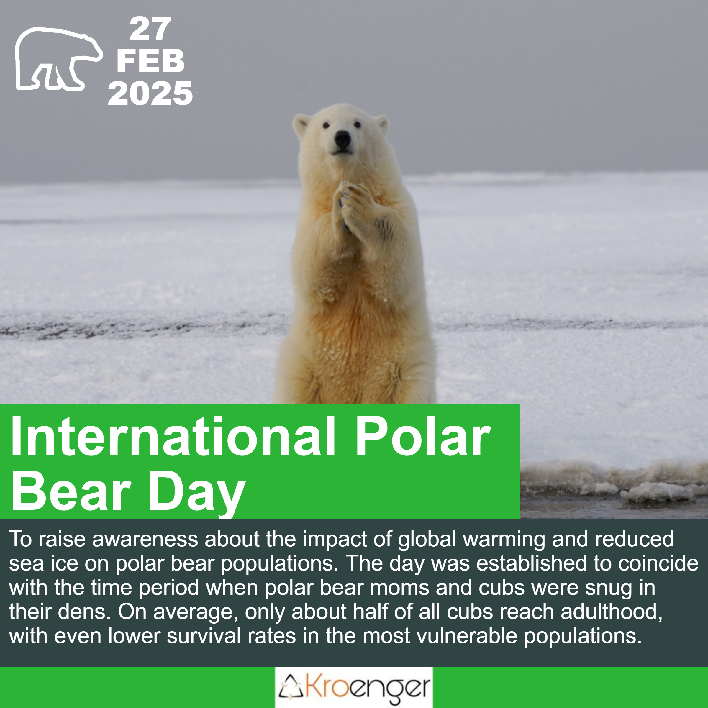 International Polar Bear Day