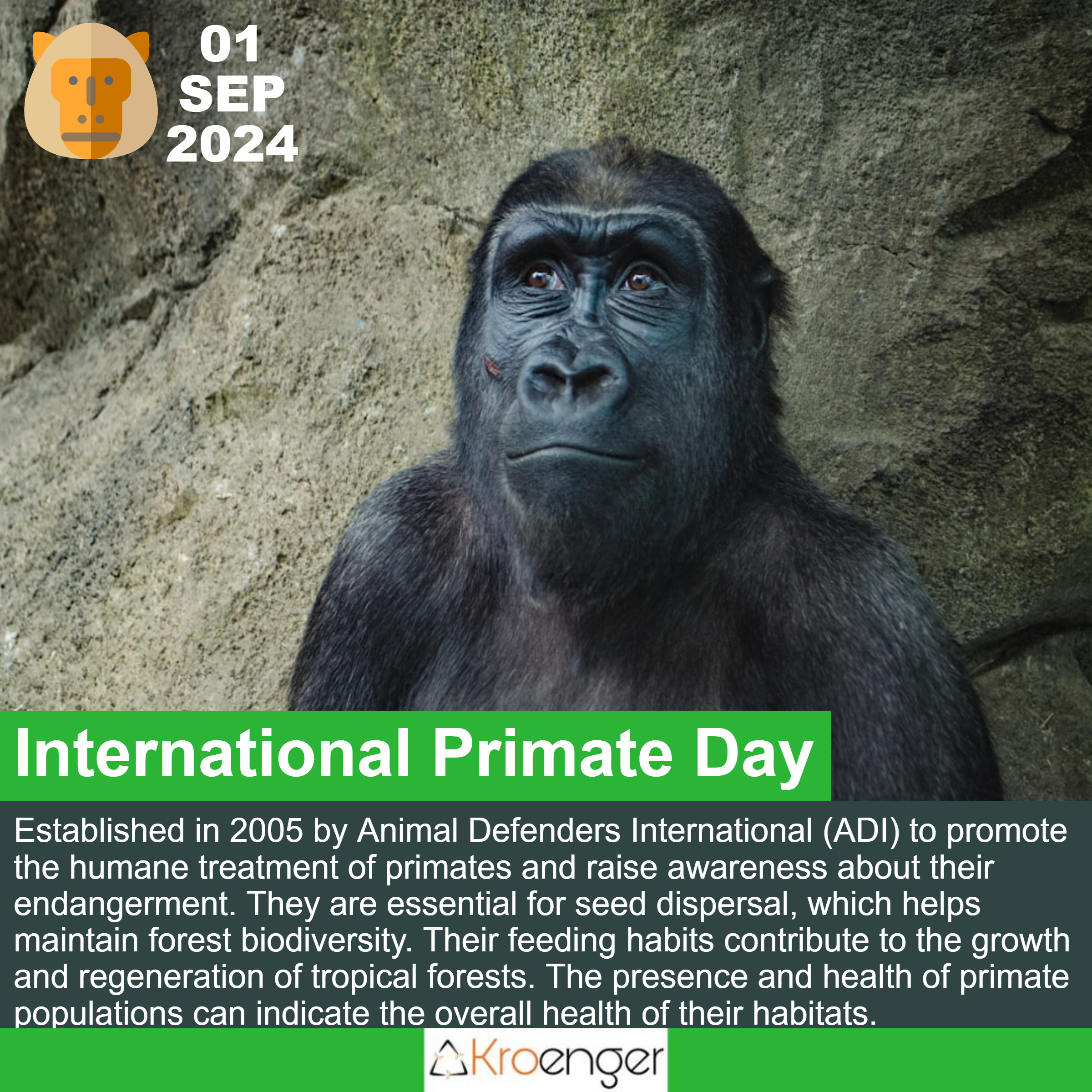 International Primate Day