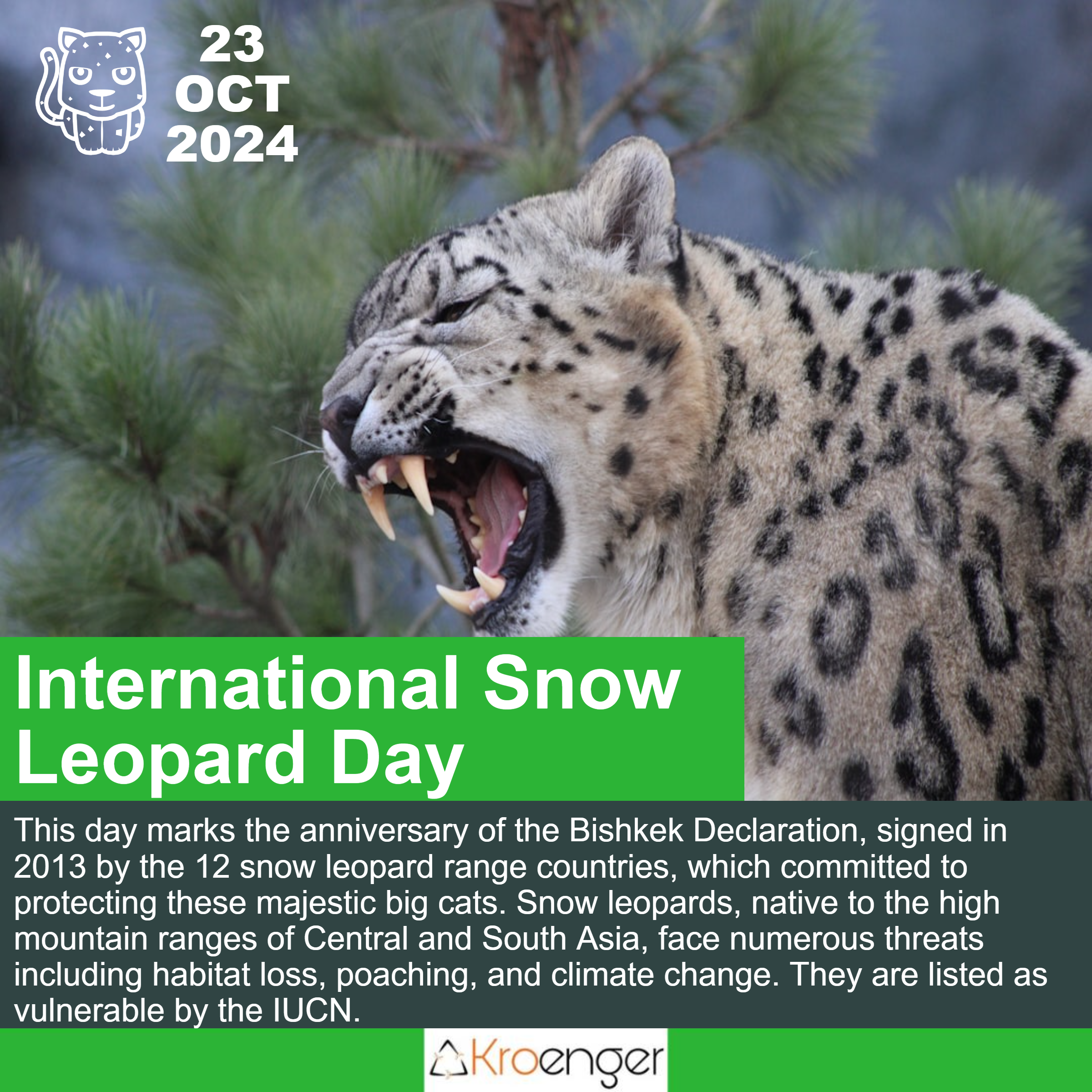 International Snow Leopard Day