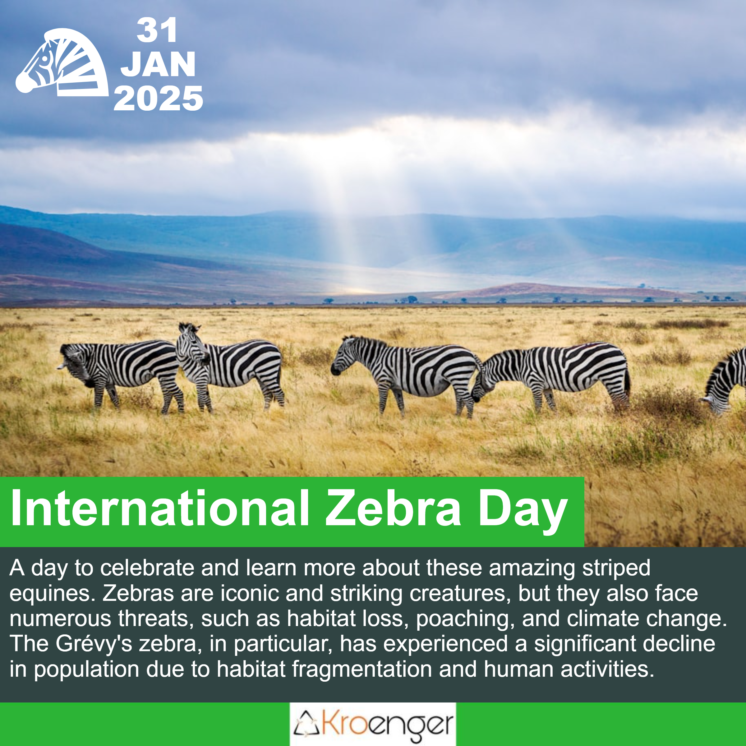 International Zebra Day