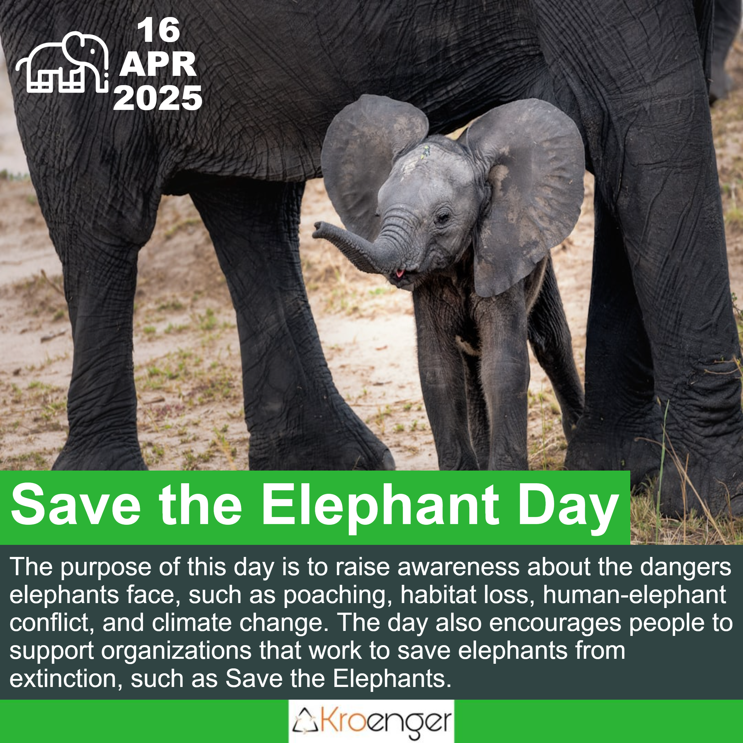 Save the Elephant Day