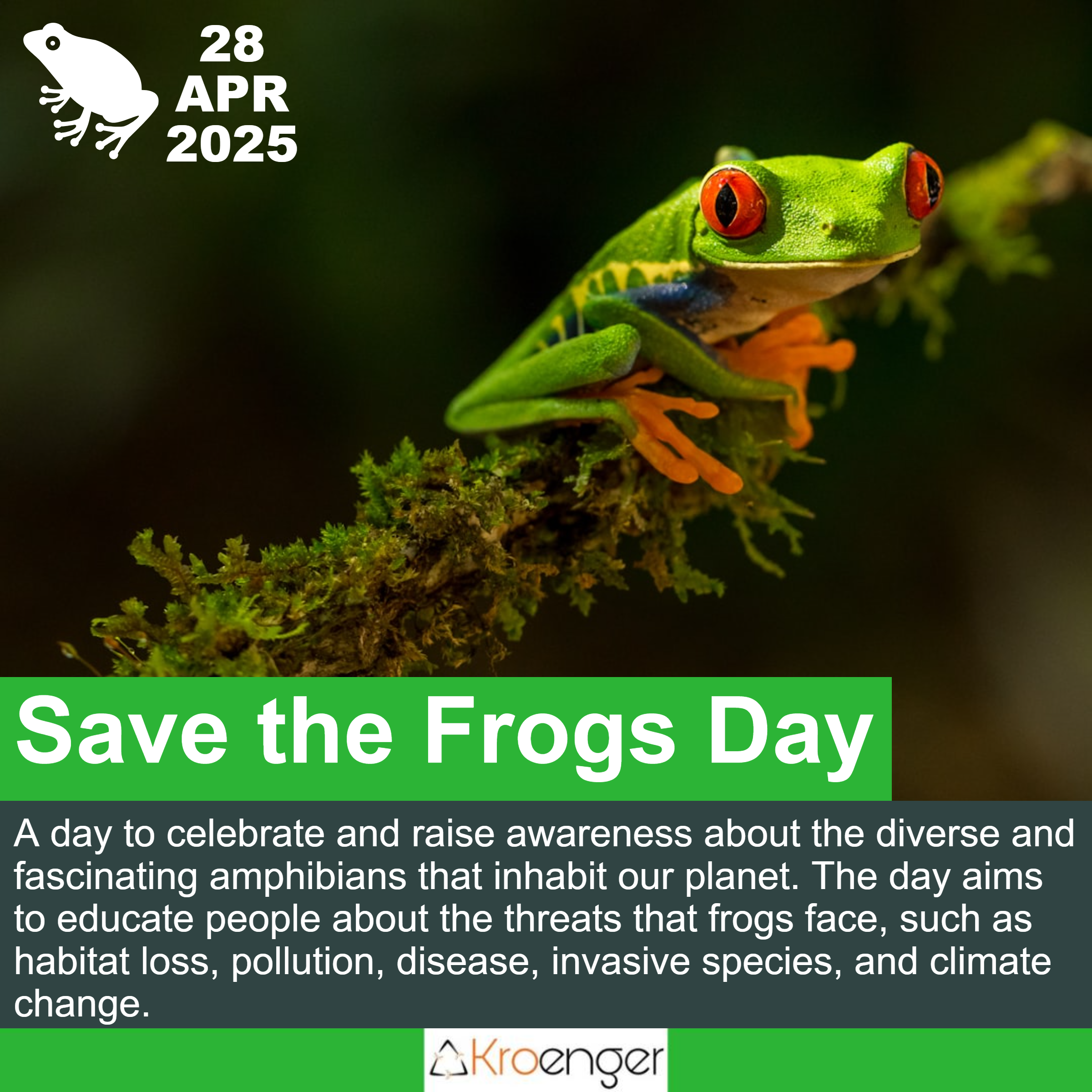 Save the Frogs Day