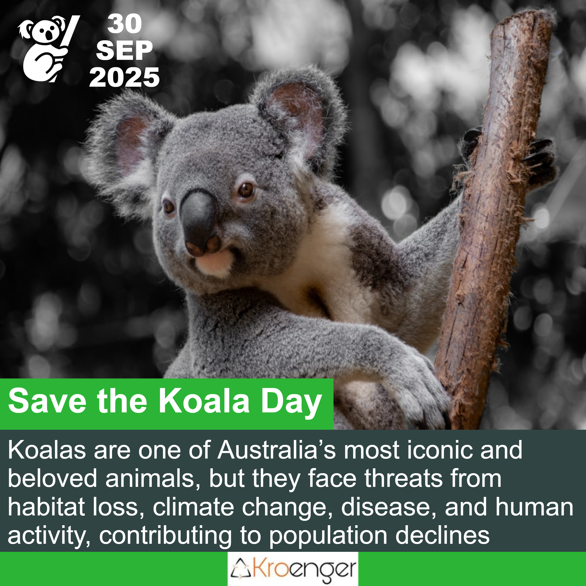 Save the Koala Day