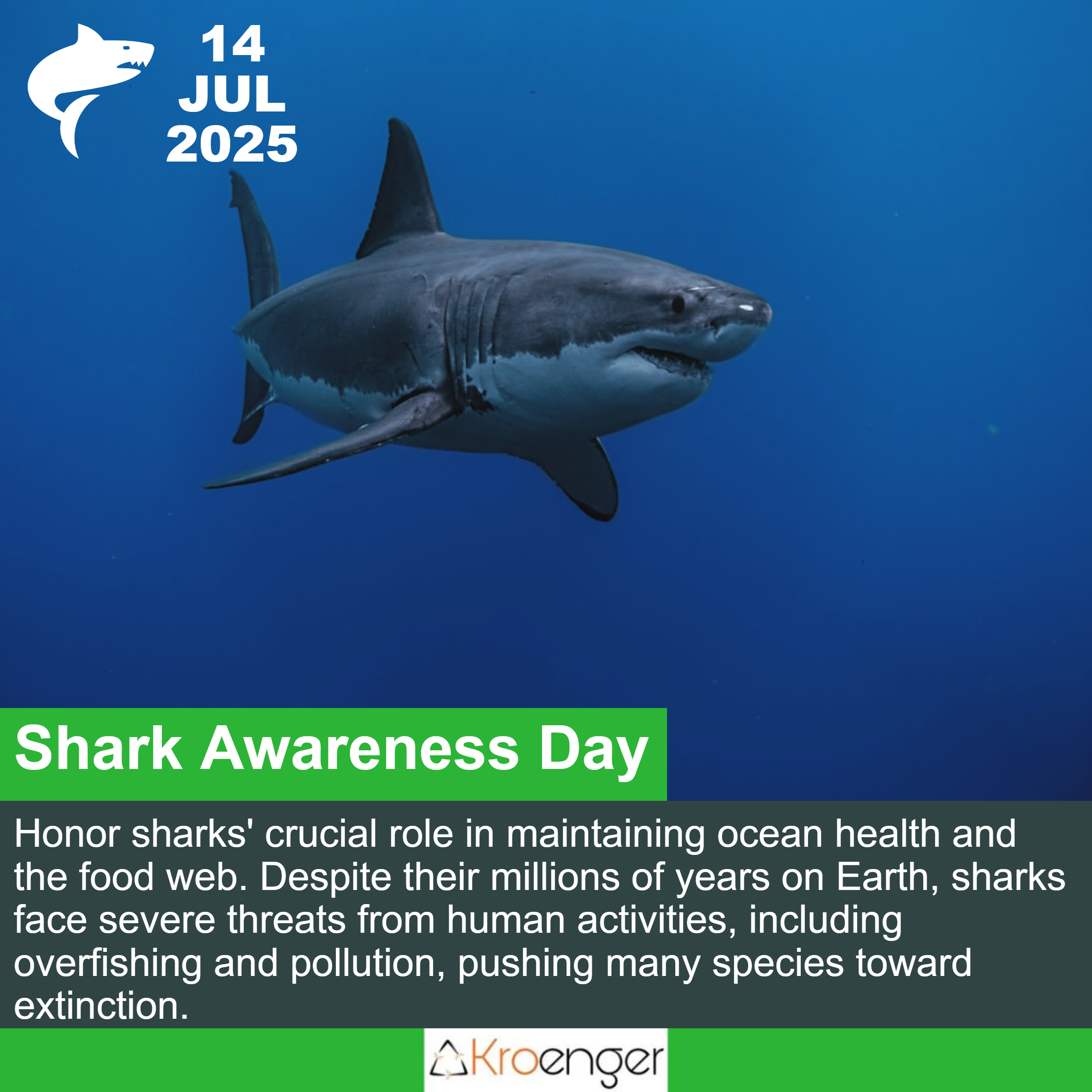 Shark Awareness Day