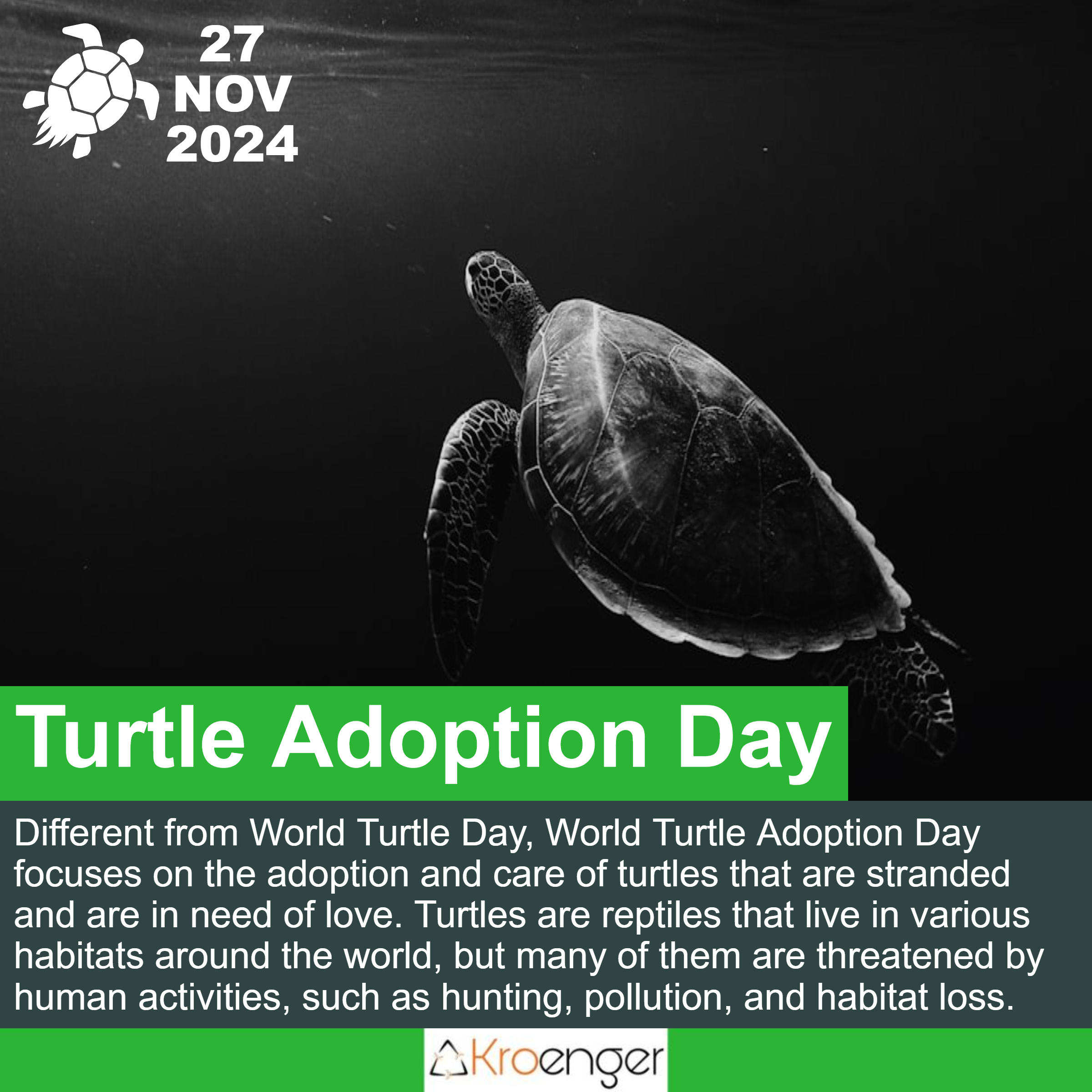 Turtle Adoption Day