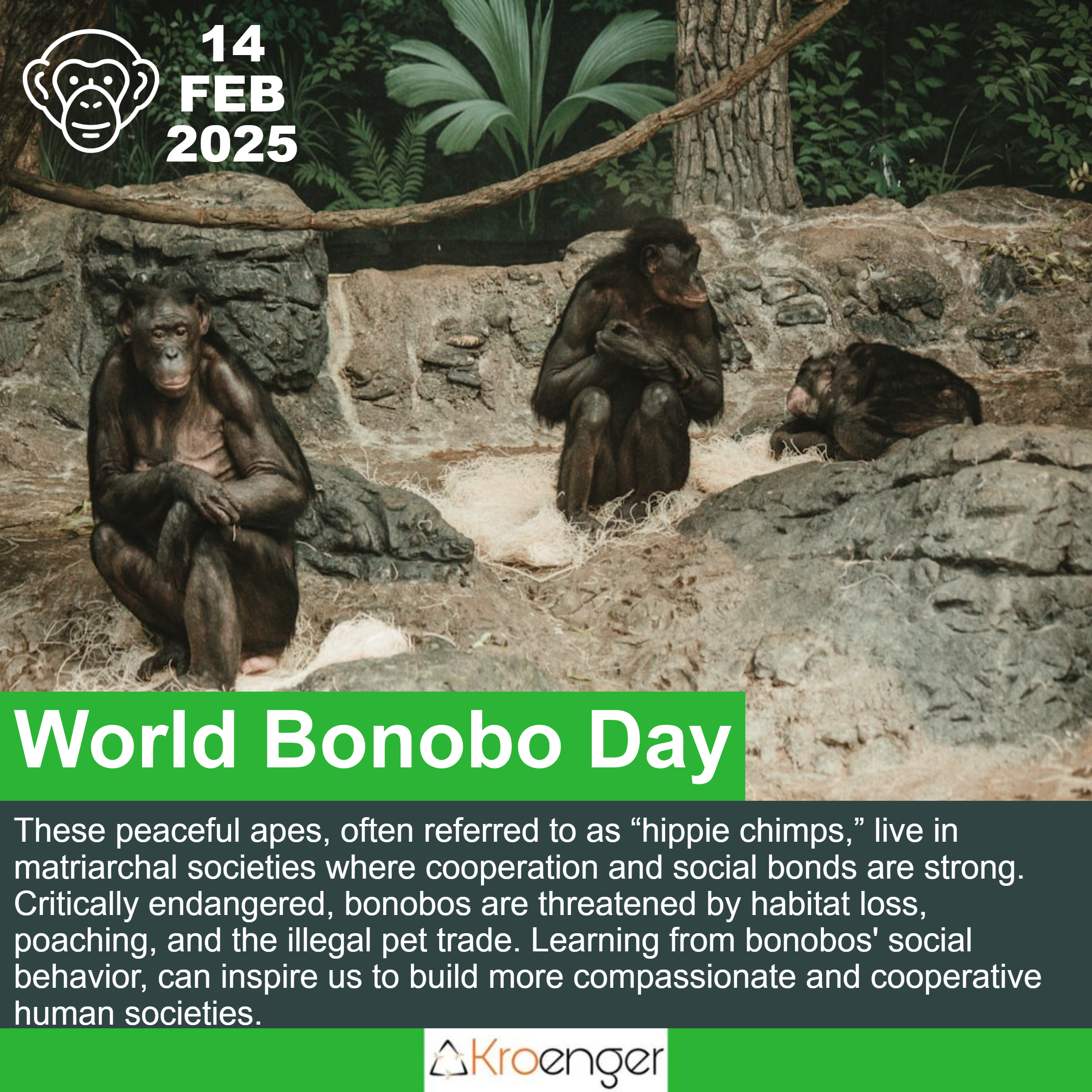 World Bonobo Day