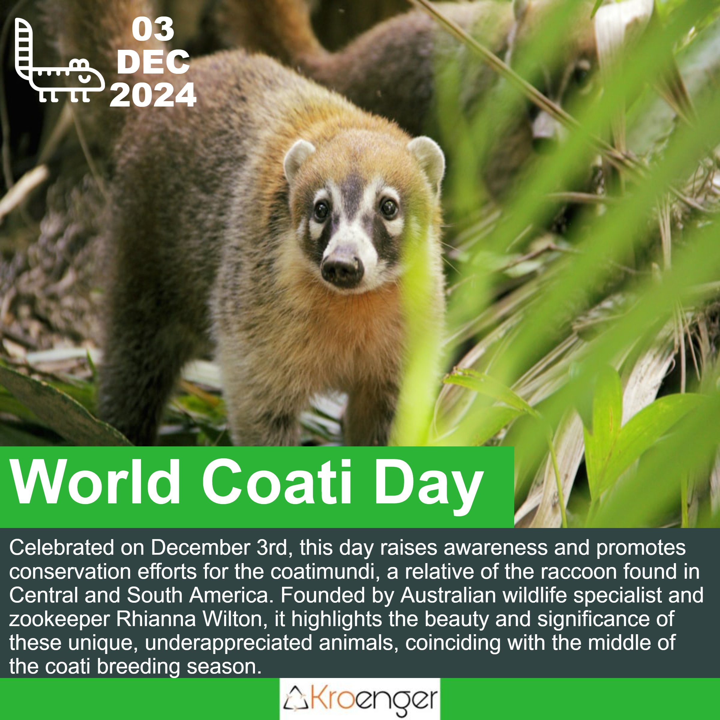 World Coati Day