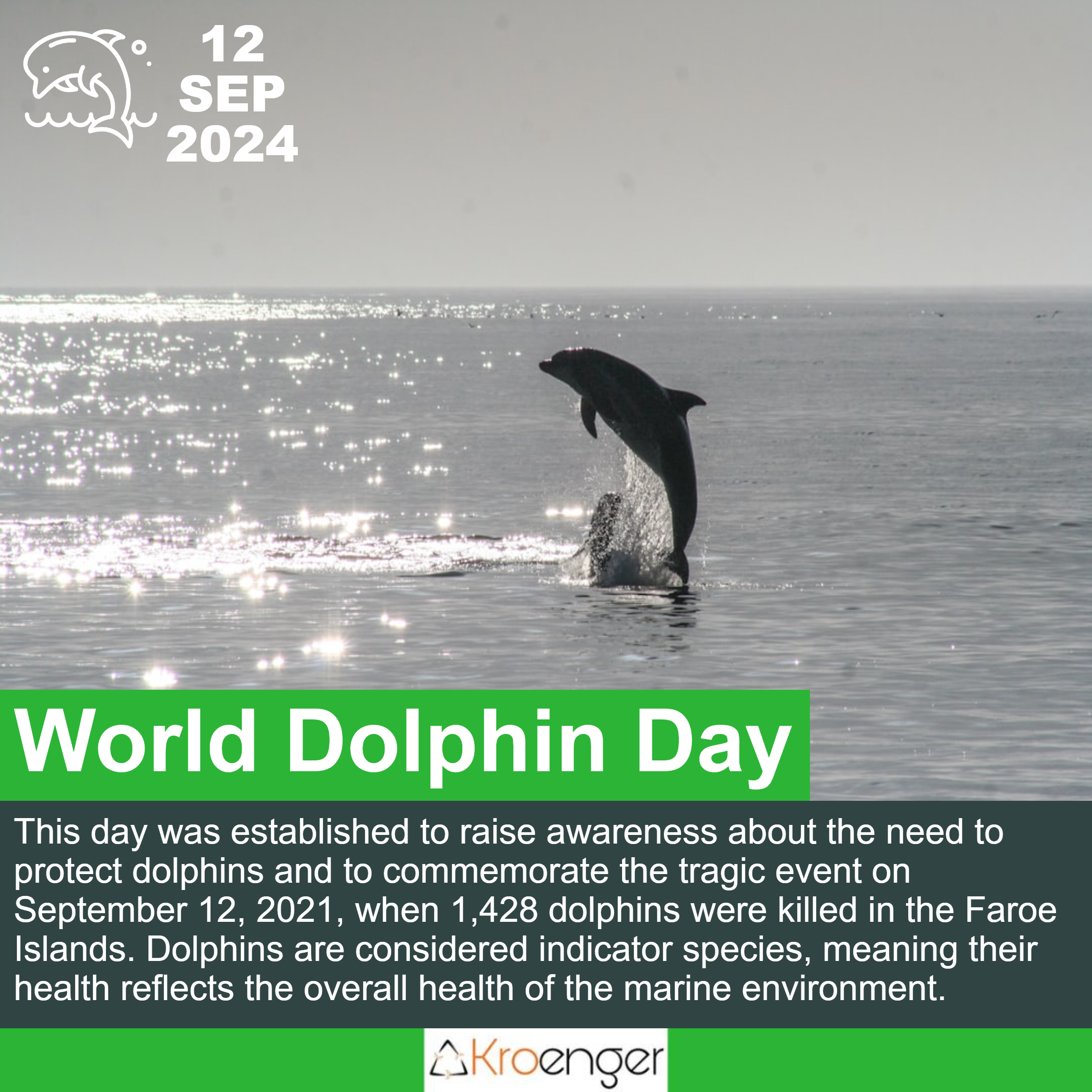 World Dolphin Day