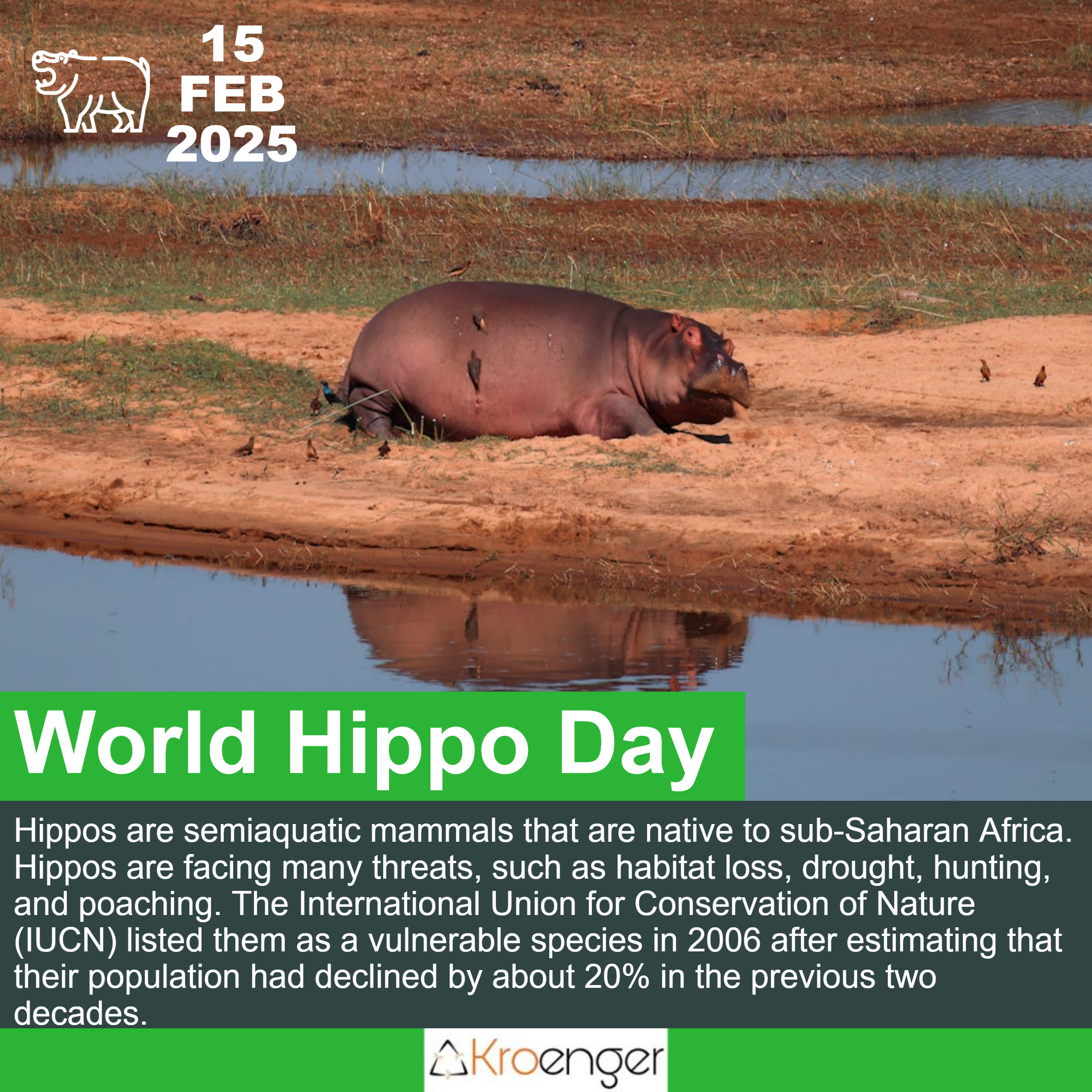 World Hippo Day