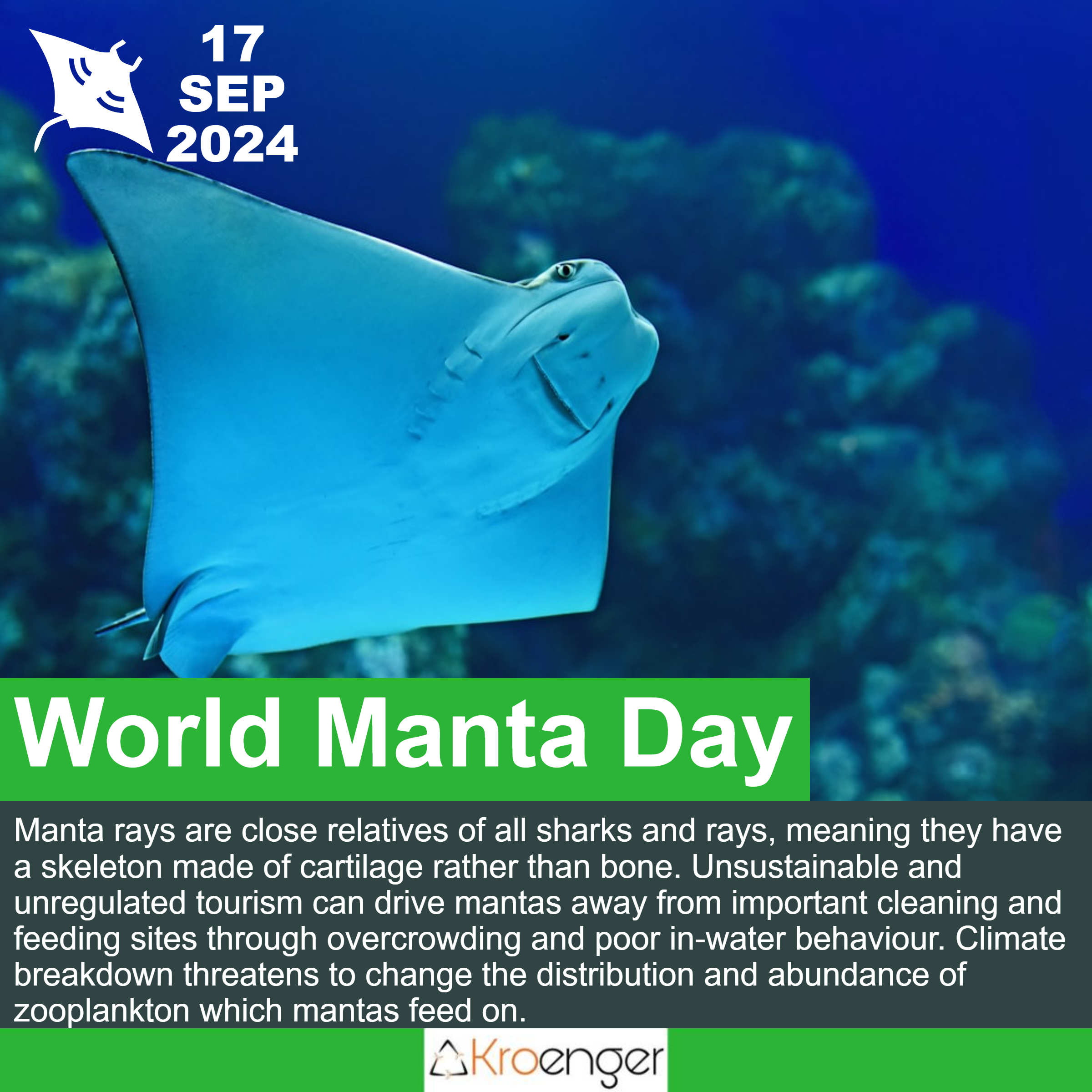 World Manta Day