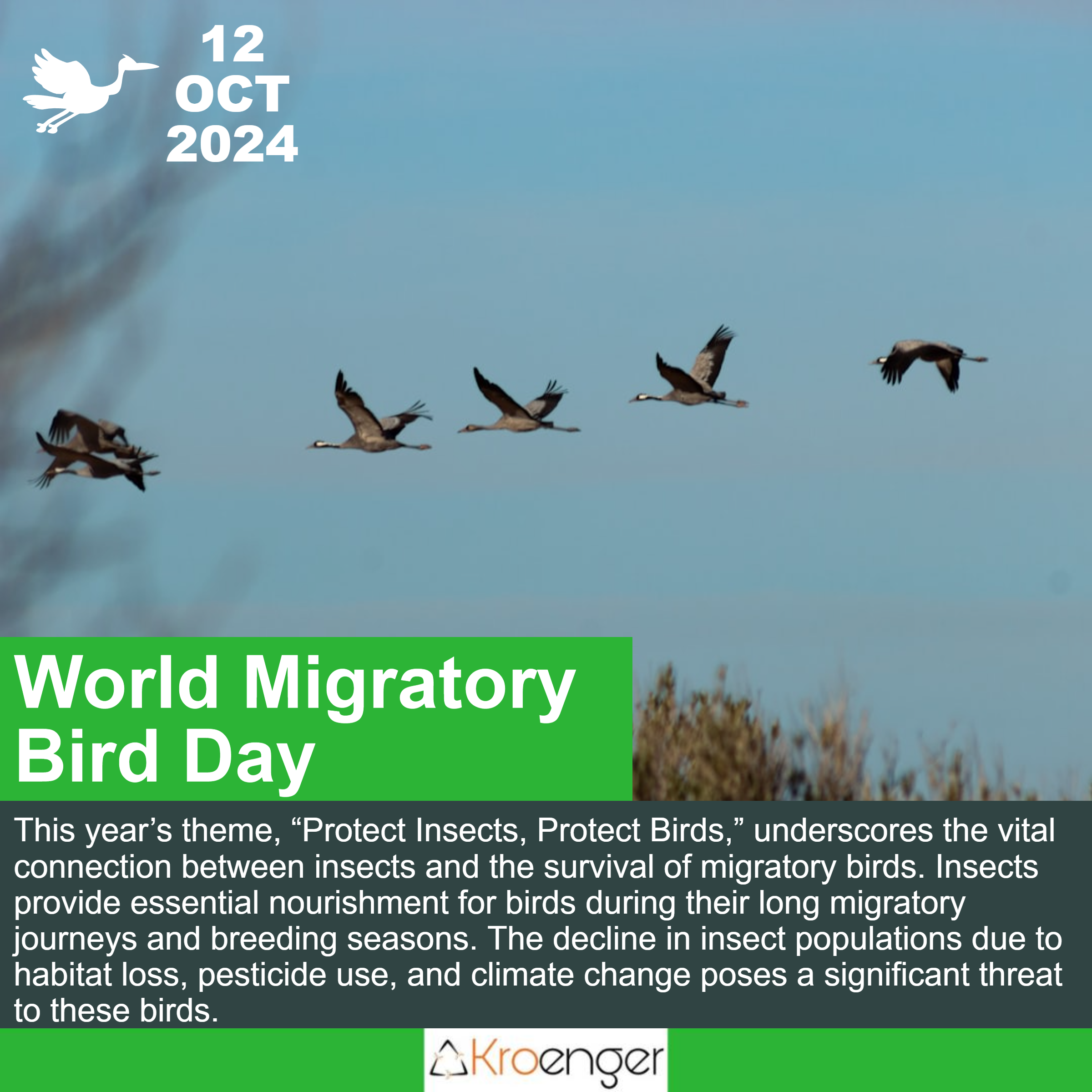 World Migratory Bird Day