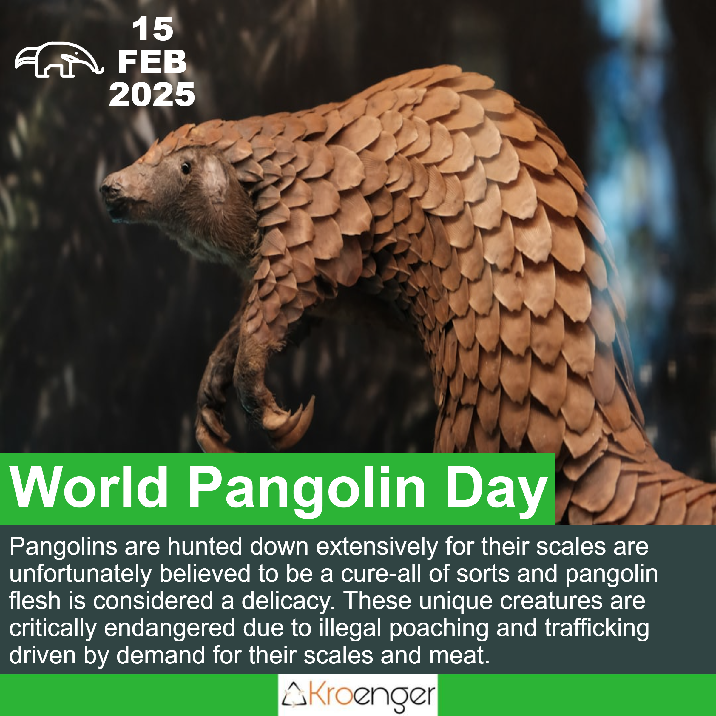 World Pangolin Day