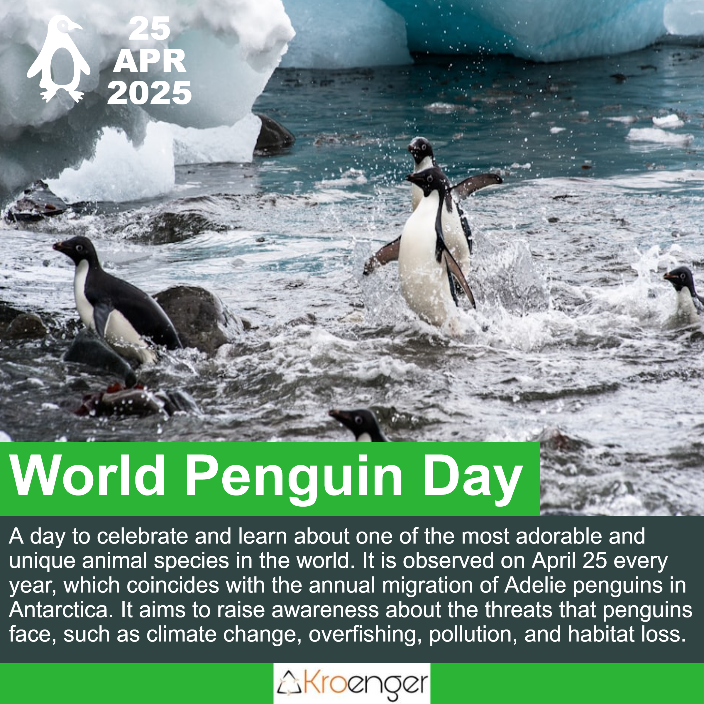 World Penguin Day