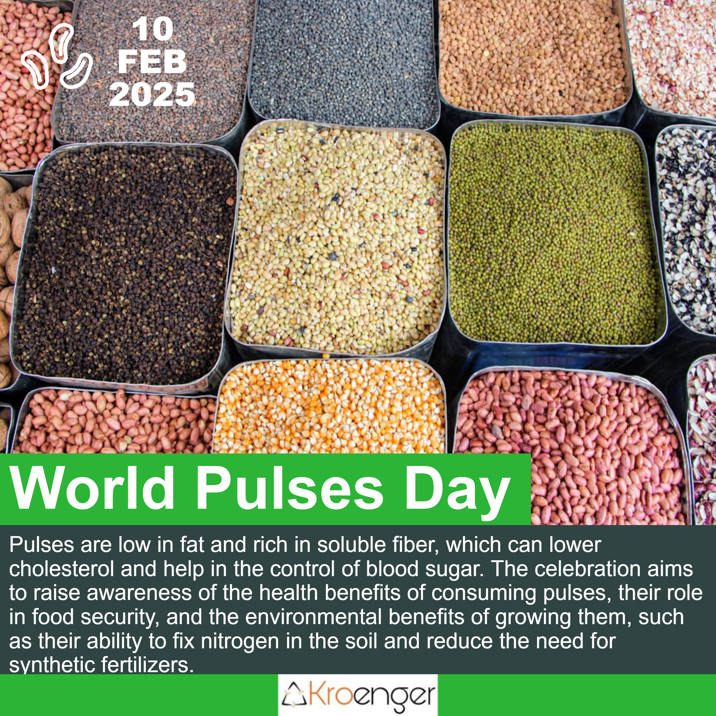 World Pulses Day