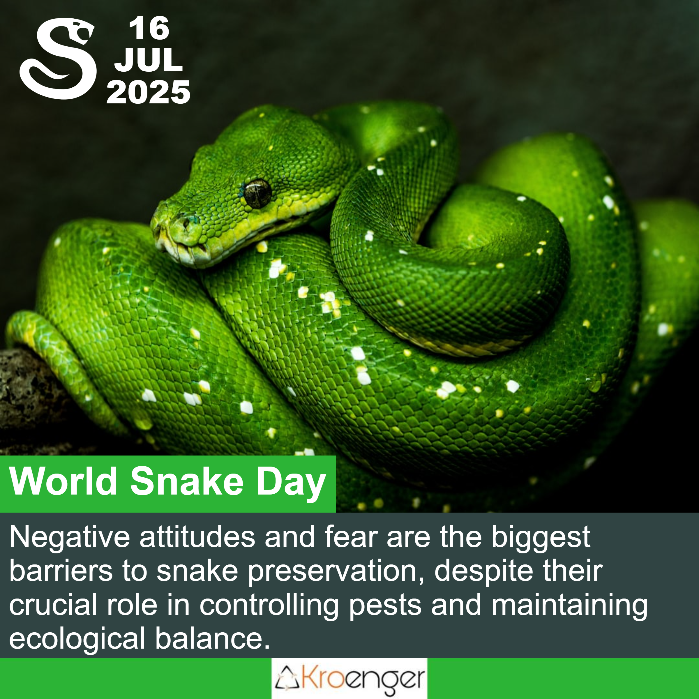 World Snake Day