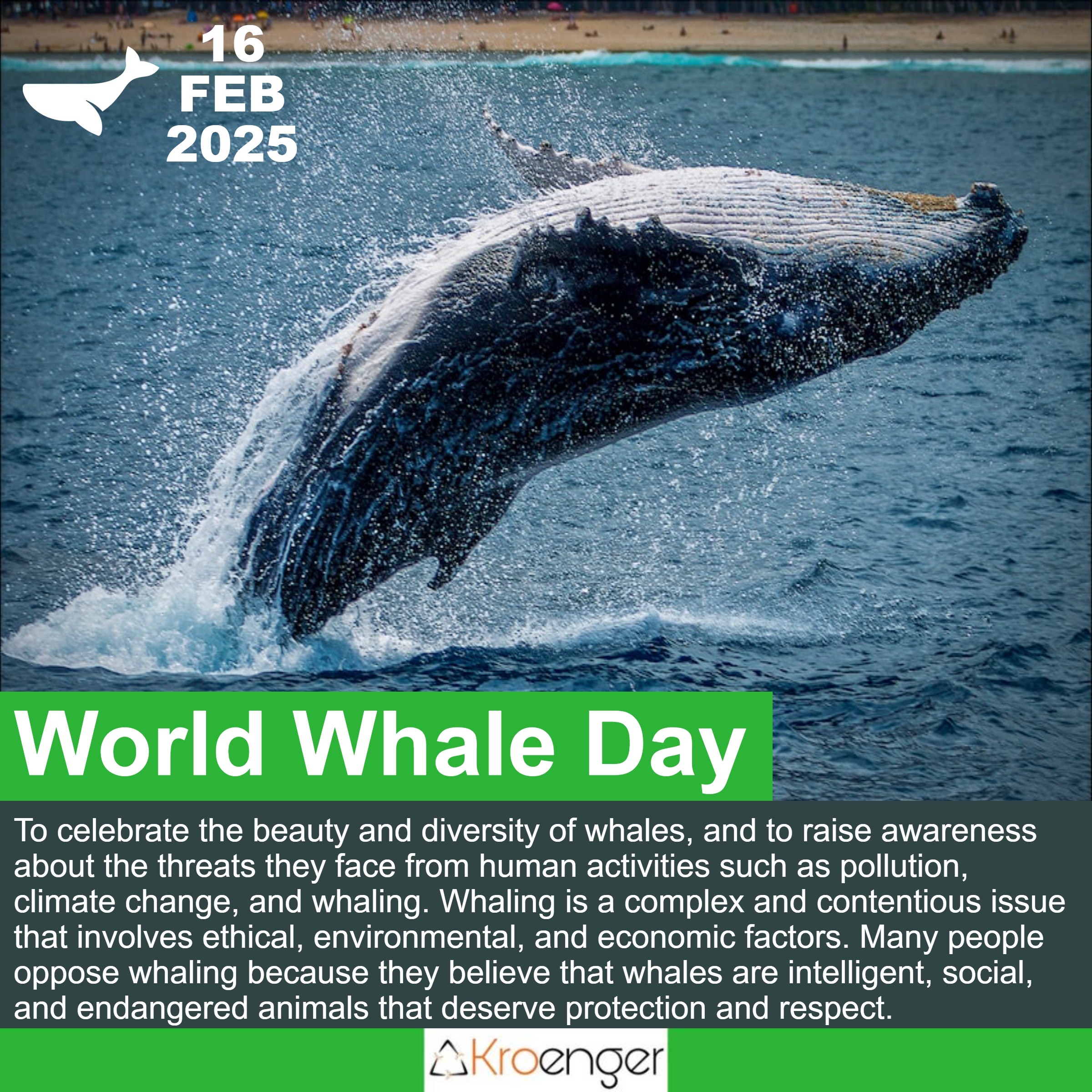 World Whale Day